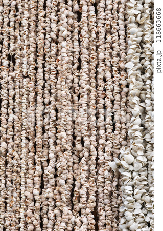 Natural seashell curtain creating a unique coastal decor for interior spaces 118663668