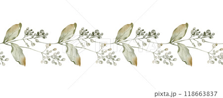 Green Watercolor Seamless Border with Viburnum Autumn Berry. Simple Illustration of herbarium Green Leaves and hawthorn for packaging tea, greeting cards or wedding invitations. Frame for Pattern. Green Watercolor Seamless Border with Viburnum Autumn Berry. Simple Illustration of herbarium Green Leaves and hawthorn for packaging tea, greeting cards or wedding invitations. Frame for Pattern. 118663837