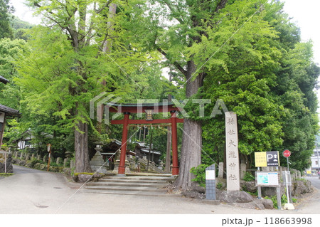 紙祖神 岡太神社・大瀧神社 下宮のニノ鳥居と社号標 紙祖神 岡太神社・大瀧神社 下宮のニノ鳥居と社号標 118663998