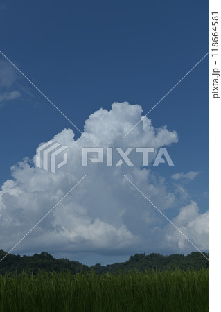 北杜市白州町、夏空高く湧き上がる入道雲 北杜市白州町、夏空高く湧き上がる入道雲 118664581