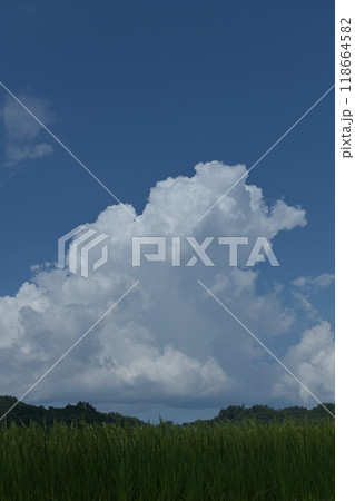 北杜市白州町、夏空高く湧き上がる入道雲 北杜市白州町、夏空高く湧き上がる入道雲 118664582
