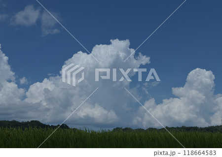 北杜市白州町、夏空高く湧き上がる入道雲 北杜市白州町、夏空高く湧き上がる入道雲 118664583