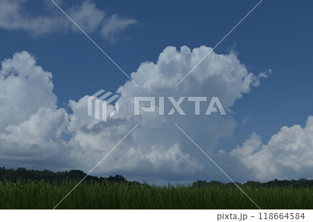 北杜市白州町、夏空高く湧き上がる入道雲 118664584