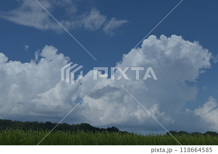 北杜市白州町、夏空高く湧き上がる入道雲 北杜市白州町、夏空高く湧き上がる入道雲 118664585