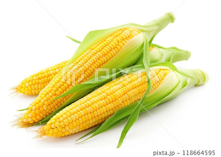 Fresh corn ears with leaves set isolated on white background 118664595