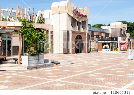 【岡崎サービスエリア】フクロウがいる下りSA 【岡崎サービスエリア】フクロウがいる下りSA 118665312