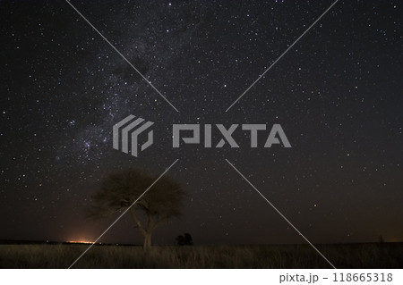 Pampas landscape photographed at night with a starry sky, La Pampa province, Patagonia , Argentina. 118665318