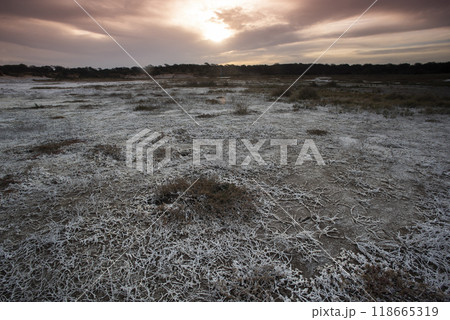 Saltpeter on the floor of a lagoon in a semi desert environment, La Pampa province, Patagonia, Argentina. 118665319