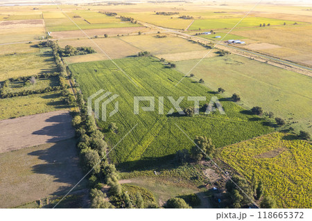 Silo bag filled with soy beans, La Pampa Province, Patagonia, Argentina. 118665372