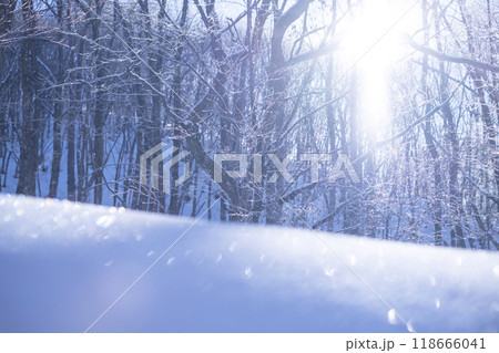 放射冷却で里山に降りた霜（恩原湖周辺） 118666041