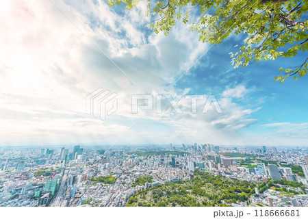 東京の都市風景と新緑 東京の都市風景と新緑 118666681