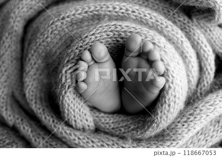 Foot of a newborn. Close up feet, toes, heels, feet of a newborn baby. Studio monochrome, vintage style, black and white macro photography. 118667053