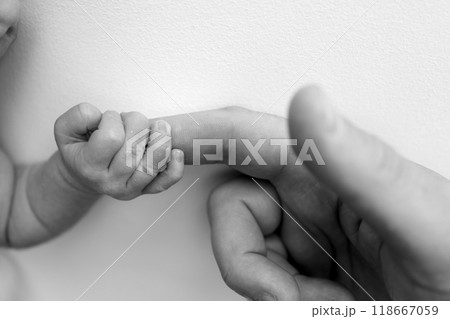 The newborn baby has a firm grip on the parent's finger after birth. Close-up little hand of child and palm of mother and father. Parenting, childcare and healthcare concept. Black and white photo.  118667059