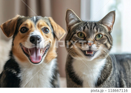 仲良しの犬と猫 118667116
