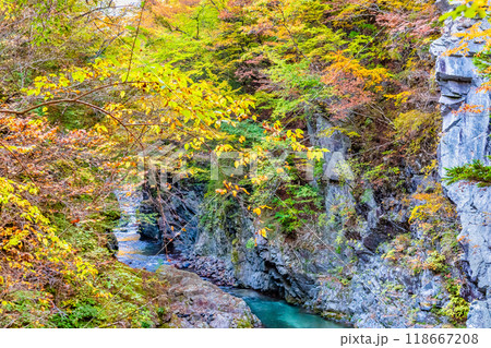山梨　紅葉の丹波渓谷 118667208
