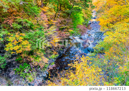 山梨　紅葉の丹波渓谷 118667213