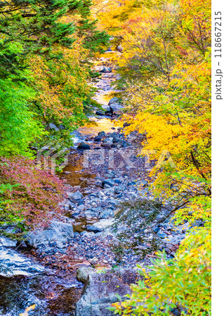 山梨 紅葉の丹波渓谷 山梨 紅葉の丹波渓谷 118667215