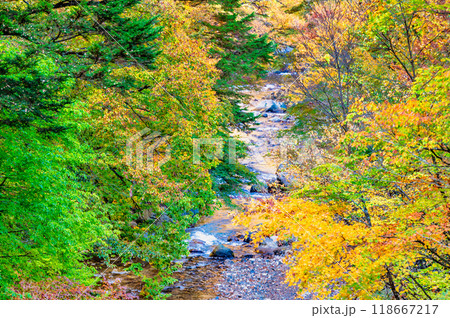 山梨 紅葉の丹波渓谷 山梨 紅葉の丹波渓谷 118667217