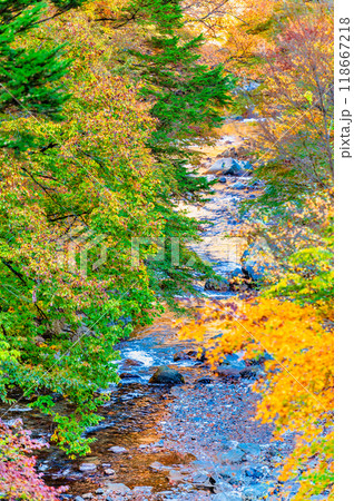 山梨　紅葉の丹波渓谷 118667218