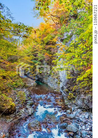 山梨　紅葉の丹波渓谷 118667221