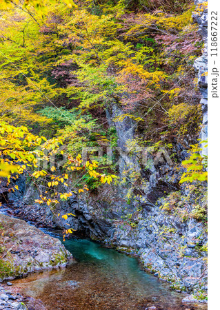 山梨　紅葉の丹波渓谷 118667222