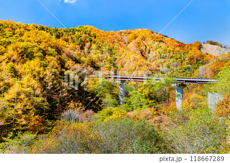 山梨　紅葉の丹波渓谷 柳沢峠 118667289