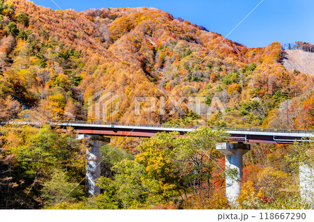 山梨　紅葉の丹波渓谷 柳沢峠 118667290