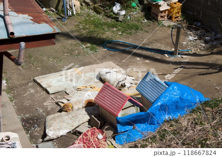 犬小屋のある風景 118667824