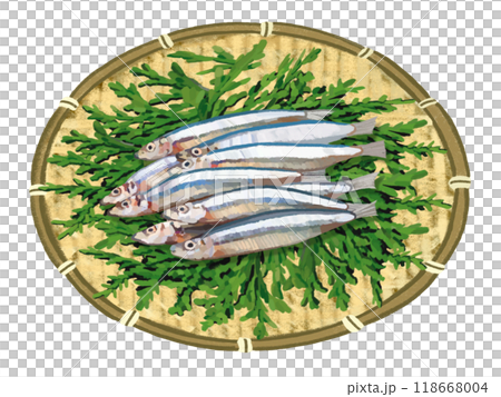 Kibinago（有漏杓和柏葉） 118668004