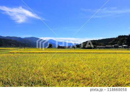 庄内町中山間地域 田圃秋の実り 庄内町中山間地域 田圃秋の実り 118668058