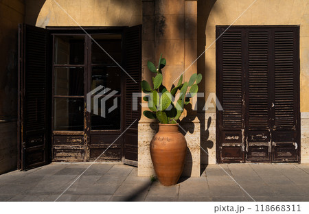Mediterranean Building Facade with Potted Cactus and Wooden Shutters 118668311