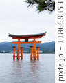 広島県宮島の厳島神社大鳥居 118668353