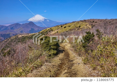 神奈川県足柄下郡箱根町の明神ヶ岳の尾根から西側の眺望(富士山,金時山など) 神奈川県足柄下郡箱根町の明神ヶ岳の尾根から西側の眺望(富士山,金時山など) 118669775