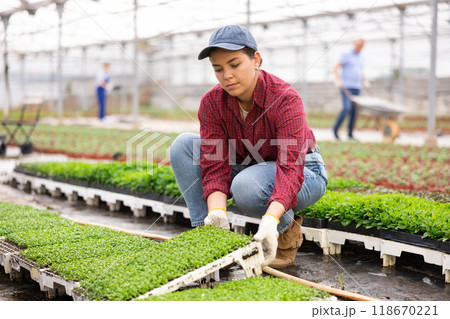 Young woman posing with planted peppermint 118670221