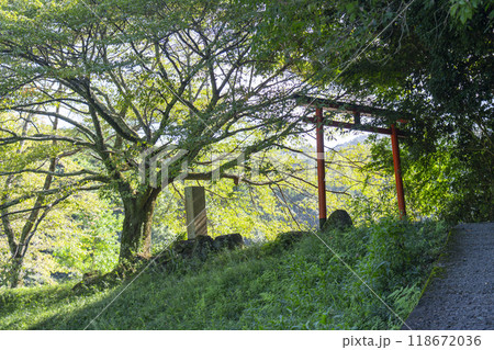 龗神神社　第一鳥居 118672036