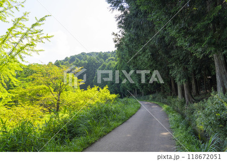 山の辺の道 山の辺の道 118672051
