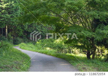 山の辺の道 山の辺の道 118672054