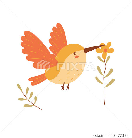 Cute Hummingbird Colibri Bird Flying with Flower Floral in Nature Park 118672379