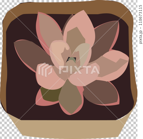 石蓮花 118673115