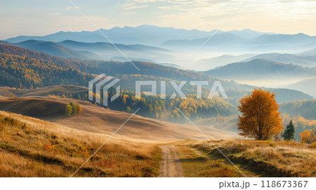 Road in Autumn Mountains 118673367