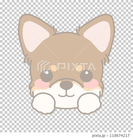 Illustration of chihuahua Illustration of chihuahua 118674217