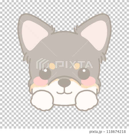 奇瓦瓦狗的例證 118674218