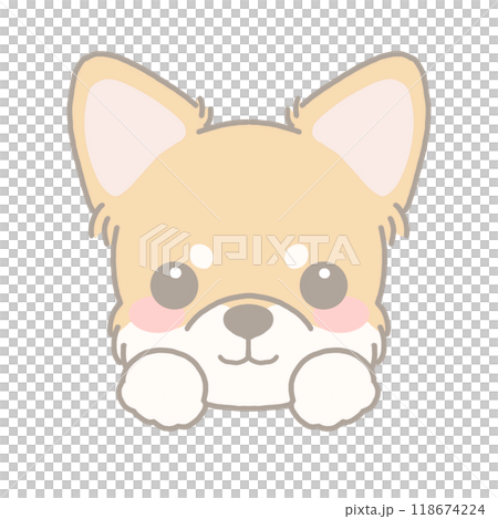 チワワのイラスト チワワのイラスト 118674224