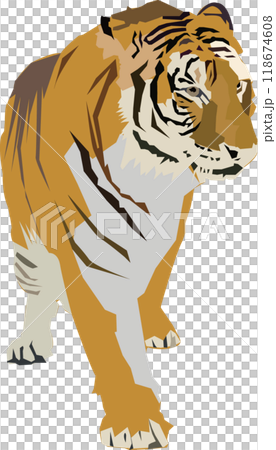 A tiger 118674608