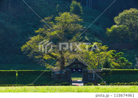 一乗谷朝倉氏遺跡ー彼岸花の秋 118674961