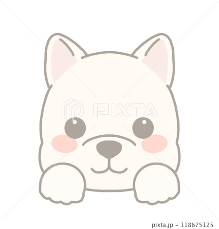 柴犬のイラスト 118675125
