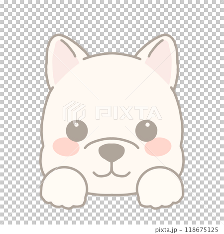 柴犬のイラスト 118675125