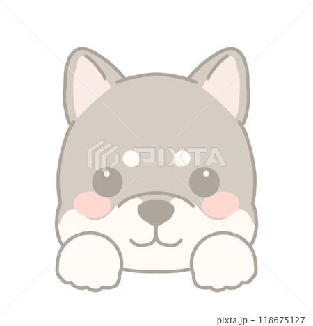 柴犬のイラスト 118675127