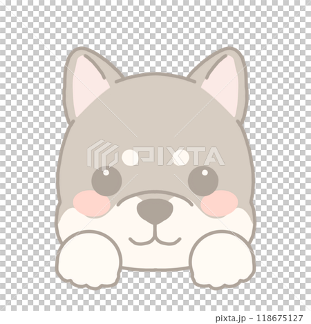 柴犬のイラスト 118675127