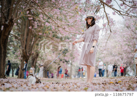 the springtime brings asian woman and her cat on a journey the springtime brings asian woman and her cat on a journey 118675797